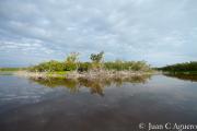 Foto de Serie de Exploración de Parques Nacionales: Los Everglades