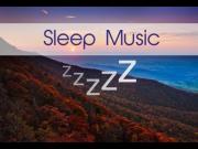 Foto de Sleep Music Delta Waves: música relajante para ayudarlo a dormir, a dormir profundamente, a la paz interior