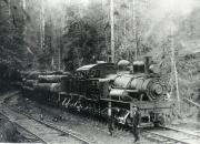 Foto de American Steam: Cass y amp; Segadora de los trenes de registro