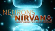Foto de Neuronas al Nirvana: Entendiendo las Medicinas Psicodélicas