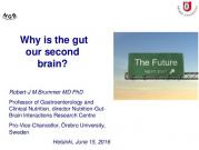 Foto de The Gut: Nuestro segundo cerebro