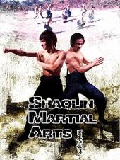 Ver Pelicula Artes marciales de Shaolin Online