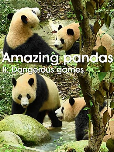 Pelicula Pandas increíbles. II. Juegos peligrosos Online