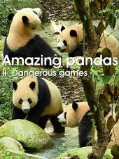 Ver Pelicula Pandas increíbles. II. Juegos peligrosos Online