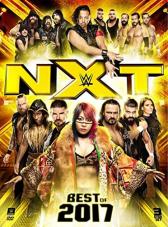 Ver Pelicula WWE: Lo mejor de NXT 2017 Online