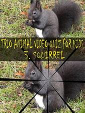 Ver Pelicula Video Trio Animal Quiz para niños. 3. ardilla Online