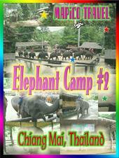 Ver Pelicula Clip: Viaje Tailandia Chiang Mai Maesa Elephant Camp # 2 Online