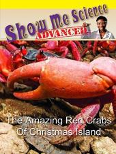 Ver Pelicula Los increíbles cangrejos rojos de la isla de Navidad Online