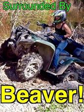 Ver Pelicula Rodeado de castores! - ATV Trail / Road Gone! .BEAVERS! Online