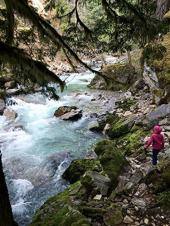 Ver Pelicula Senderismo con Valentine - Stetattle Creek Trail, Parque Nacional North Cascades Online