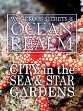 Ver Pelicula Maravillosos secretos del reino oceánico: City in the Sea & amp; Star Gardens Online
