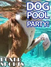 Ver Pelicula Fiesta en la piscina del perro Online