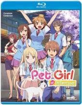 Ver Pelicula Pet Girl of Sakurasou: ColecciÃ³n completa Online