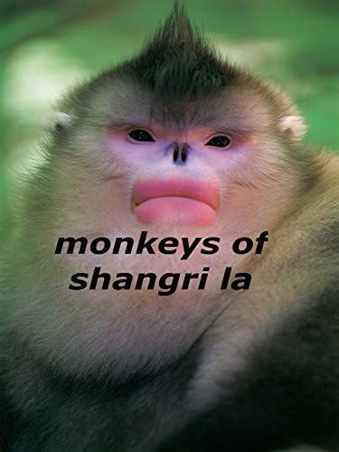 Pelicula Monos de Shangri-La Online