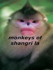 Ver Pelicula Monos de Shangri-La Online