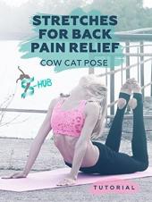 Ver Pelicula Estiramientos para el alivio del dolor de espalda! Postura del gato de vaca! Online
