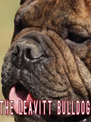 Pelicula El Bulldog de Leavitt Online