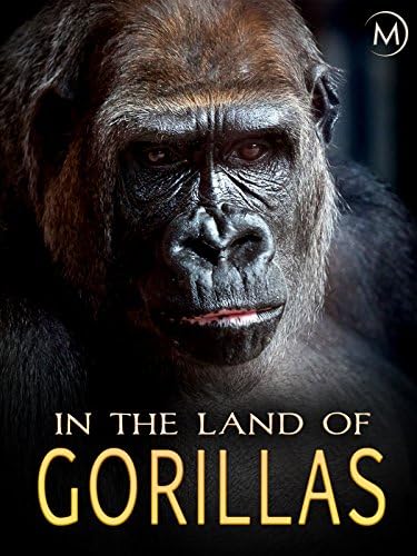 Pelicula En la tierra de los gorilas Online