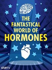 Ver Pelicula El fantástico mundo de las hormonas Online