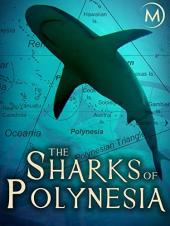 Ver Pelicula Los tiburones de la polinesia Online