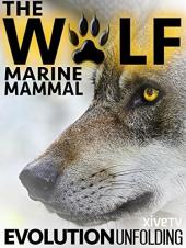 Ver Pelicula El lobo: despliegue de la evolución de los mamíferos marinos Online