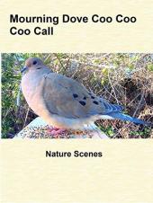 Ver Pelicula Mourning Dove Coo Coo Coo Call Online