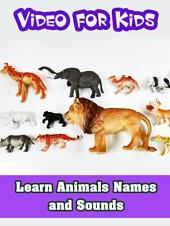 Ver Pelicula Aprender nombres y sonidos de animales - Video para niños Online