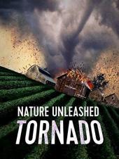 Ver Pelicula La naturaleza desatada: Tornado Online