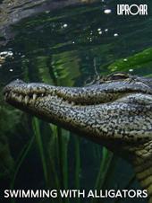 Ver Pelicula Nadar con cocodrilos Online