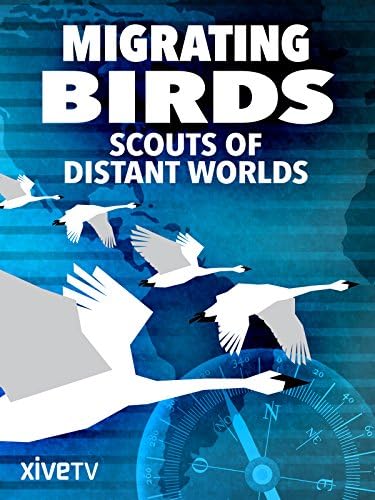 Pelicula Aves migratorias: exploradores de mundos distantes Online