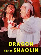 Ver Pelicula Dragón de Shaolin Online