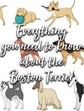 Ver Pelicula Todo lo que necesitas saber sobre el Boston Terrier. Online