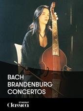 Ver Pelicula Bach - Conciertos de Brandenburgo Online