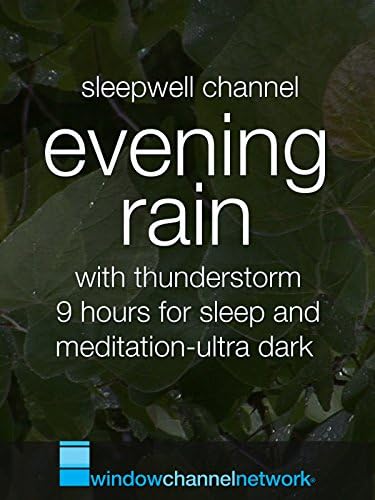 Pelicula Lluvia de la tarde con tormenta, 9 horas para dormir y meditar, ultra oscuro. Online