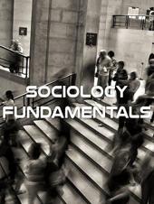 Ver Pelicula Fundamentos de la sociología Online