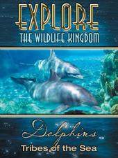 Ver Pelicula Explore The Wildlife Kingdom: Dolphins - Tribes of The Sea Online