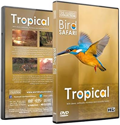 Pelicula DVD Relaxing Nature - Bird Safari - Aves tropicales y paisajes de vida silvestre con música relajante o sonidos de la naturaleza Online
