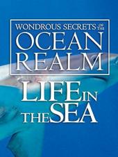 Ver Pelicula Maravillosos secretos del reino oceÃ¡nico: vida en el mar Online