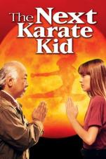 Ver Pelicula El próximo Karate Kid Online