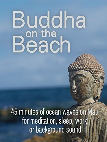 Pelicula Buda en la playa: 45 minutos de olas oceánicas en Maui para meditar, dormir, trabajar o escuchar el sonido de fondo Online