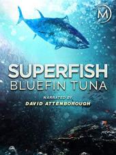 Ver Pelicula Superfish: Atún Rojo - Narrado por David Attenborough Online