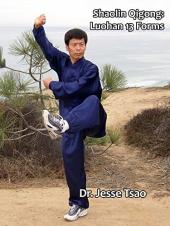 Ver Pelicula Shaolin Qigong: Luohan 13 Formas Online