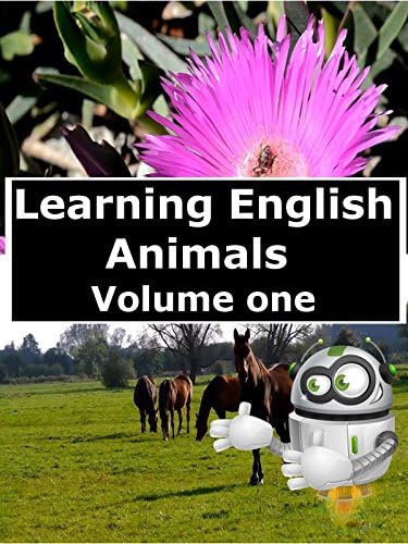 Pelicula Aprendiendo Inglés Animales Volumen 1 Online