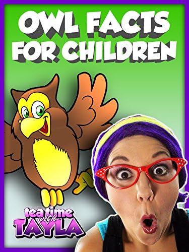 Pelicula La hora del té con Tayla: Owl Facts for Children Online