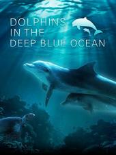 Ver Pelicula Delfines en el océano azul profundo Online