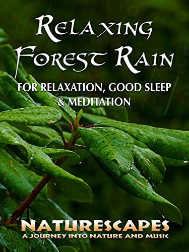Pelicula Relajante lluvia del bosque para relajarse, dormir y amp; Meditación - Naturescapes Online