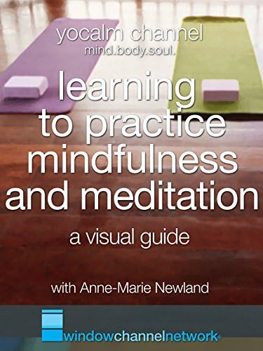 Pelicula Aprendiendo a practicar la atención plena y la meditación. Una guía visual Online