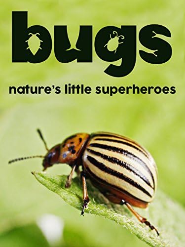 Pelicula Bugs: Los pequeños superhéroes de la naturaleza Online