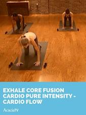 Ver Pelicula Exhale: Core Fusion Cardio Pure Intensity - Cardio Flow Online