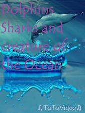 Ver Pelicula Delfines Tiburones y criatura del océano. Online